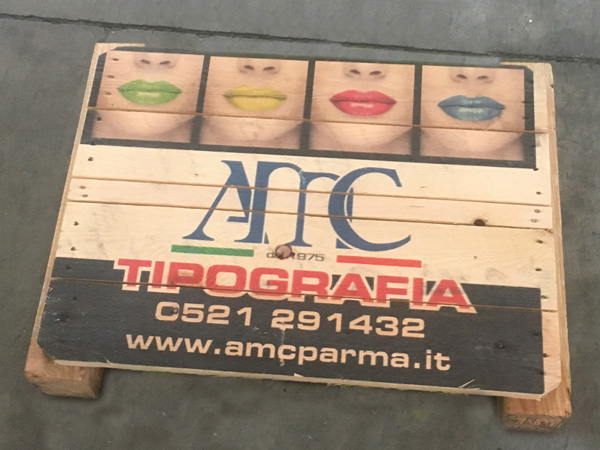 Stampa-su-finestre-reggio-emilia